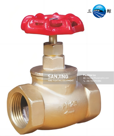 Vàlvula de globus de bronze-8544034